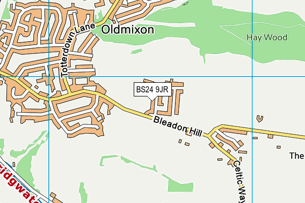 BS24 9JR map - OS VectorMap District (Ordnance Survey)