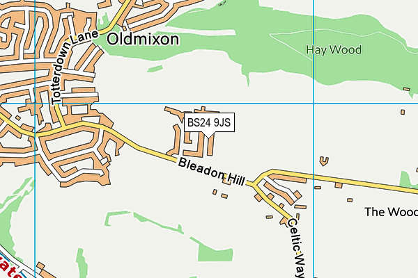 BS24 9JS map - OS VectorMap District (Ordnance Survey)