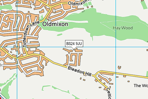 BS24 9JU map - OS VectorMap District (Ordnance Survey)