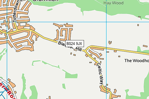 BS24 9JX map - OS VectorMap District (Ordnance Survey)