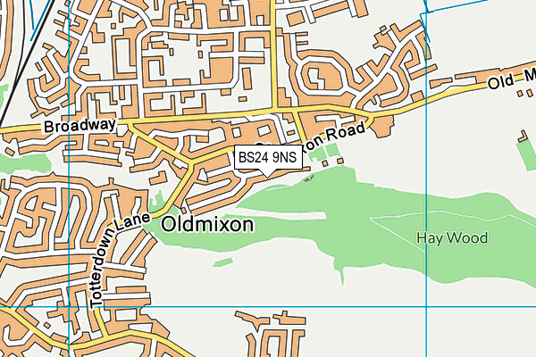 BS24 9NS map - OS VectorMap District (Ordnance Survey)