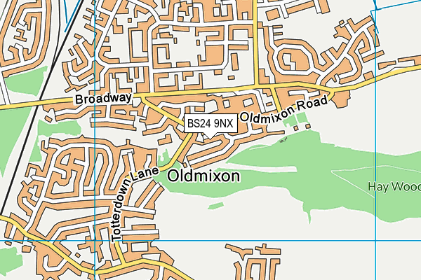 BS24 9NX map - OS VectorMap District (Ordnance Survey)