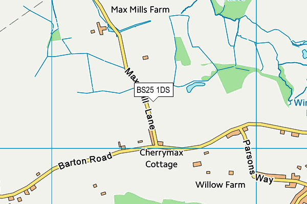 BS25 1DS map - OS VectorMap District (Ordnance Survey)