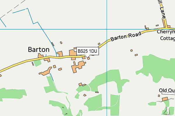 BS25 1DU map - OS VectorMap District (Ordnance Survey)