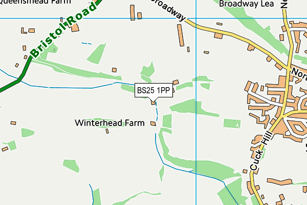 BS25 1PP map - OS VectorMap District (Ordnance Survey)