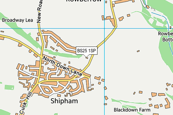 BS25 1SP map - OS VectorMap District (Ordnance Survey)