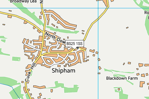 BS25 1SS map - OS VectorMap District (Ordnance Survey)