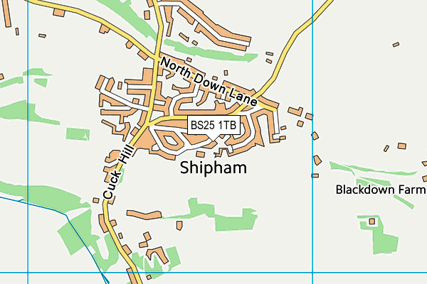 BS25 1TB map - OS VectorMap District (Ordnance Survey)
