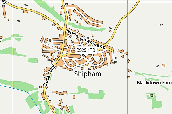 BS25 1TD map - OS VectorMap District (Ordnance Survey)