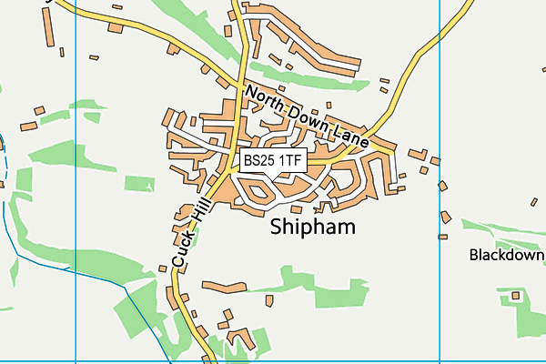 BS25 1TF map - OS VectorMap District (Ordnance Survey)