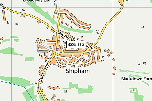 BS25 1TG map - OS VectorMap District (Ordnance Survey)