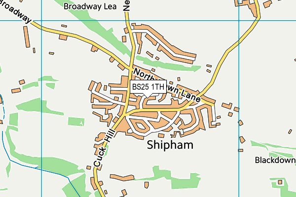 BS25 1TH map - OS VectorMap District (Ordnance Survey)