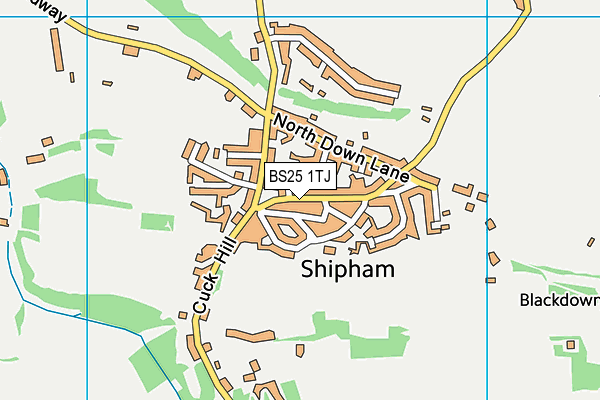 BS25 1TJ map - OS VectorMap District (Ordnance Survey)