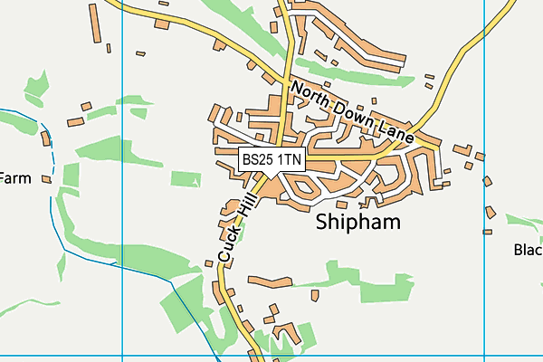 BS25 1TN map - OS VectorMap District (Ordnance Survey)