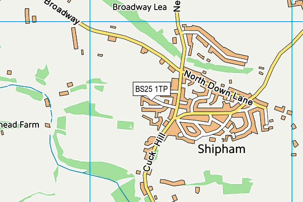 BS25 1TP map - OS VectorMap District (Ordnance Survey)