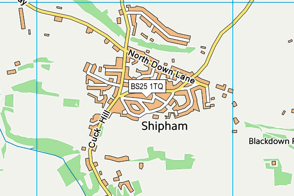 BS25 1TQ map - OS VectorMap District (Ordnance Survey)