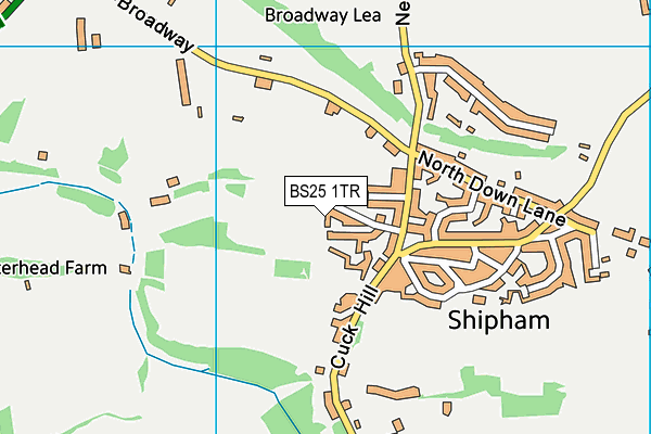 BS25 1TR map - OS VectorMap District (Ordnance Survey)