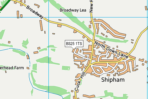 BS25 1TS map - OS VectorMap District (Ordnance Survey)