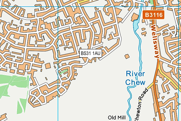 BS31 1AU map - OS VectorMap District (Ordnance Survey)