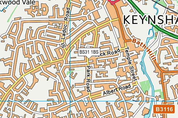 BS31 1BS map - OS VectorMap District (Ordnance Survey)