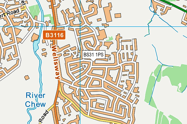 BS31 1PS map - OS VectorMap District (Ordnance Survey)