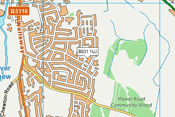 BS31 1UJ map - OS VectorMap District (Ordnance Survey)