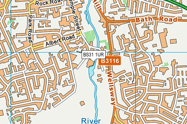 BS31 1UR map - OS VectorMap District (Ordnance Survey)
