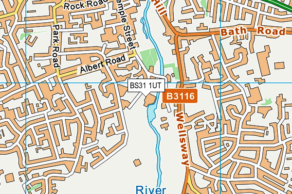 BS31 1UT map - OS VectorMap District (Ordnance Survey)