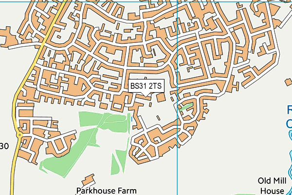 Castle Primary School map (BS31 2TS) - OS VectorMap District (Ordnance Survey)