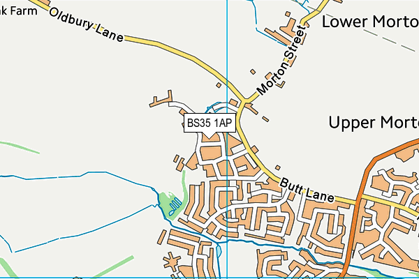 BS35 1AP map - OS VectorMap District (Ordnance Survey)