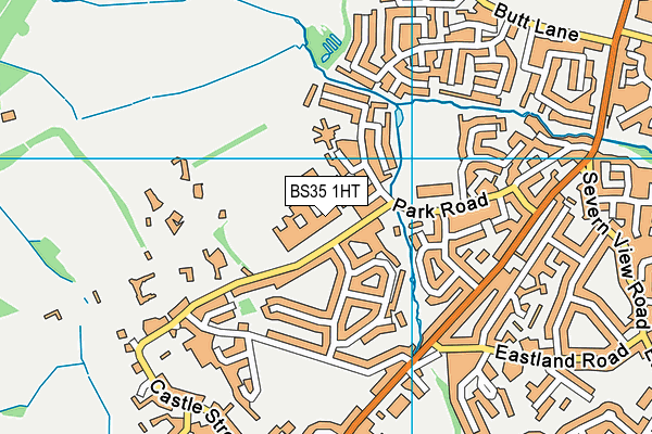 The Castle School map (BS35 1HT) - OS VectorMap District (Ordnance Survey)