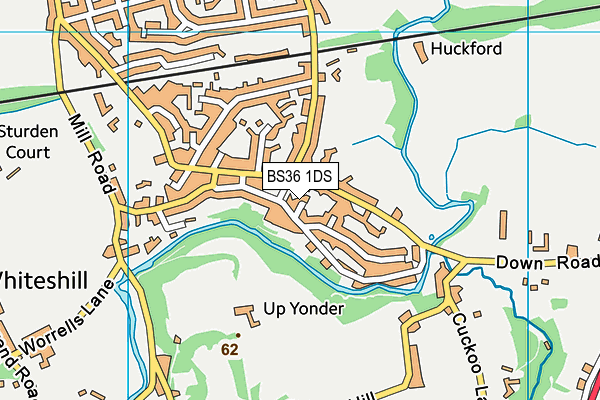 BS36 1DS map - OS VectorMap District (Ordnance Survey)