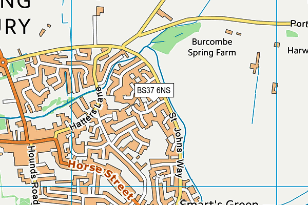 BS37 6NS map - OS VectorMap District (Ordnance Survey)
