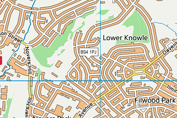 BS4 1PJ map - OS VectorMap District (Ordnance Survey)