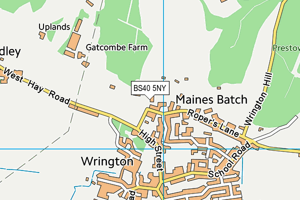 BS40 5NY map - OS VectorMap District (Ordnance Survey)