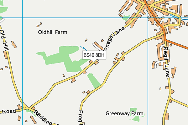 BS40 8DH map - OS VectorMap District (Ordnance Survey)