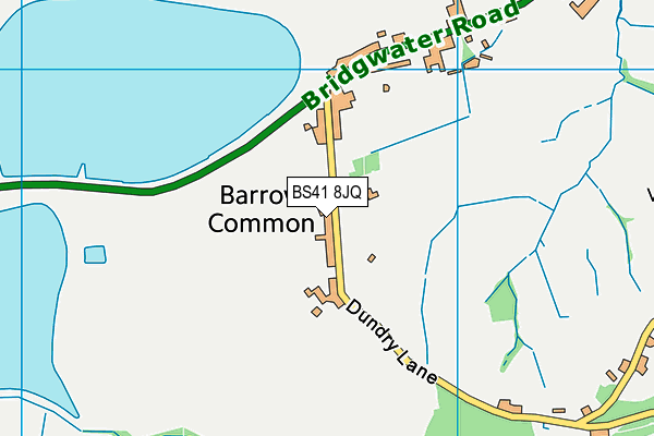 BS41 8JQ map - OS VectorMap District (Ordnance Survey)