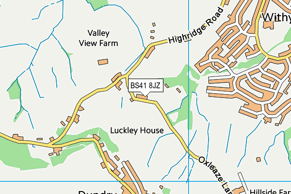 BS41 8JZ map - OS VectorMap District (Ordnance Survey)