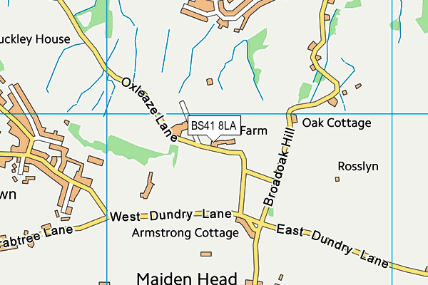 BS41 8LA map - OS VectorMap District (Ordnance Survey)