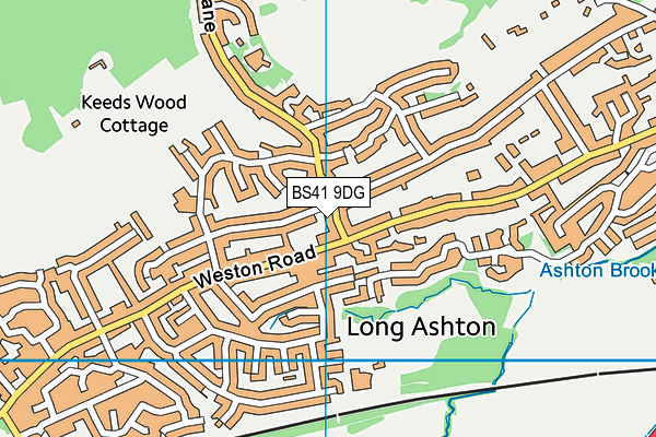 BS41 9DG map - OS VectorMap District (Ordnance Survey)