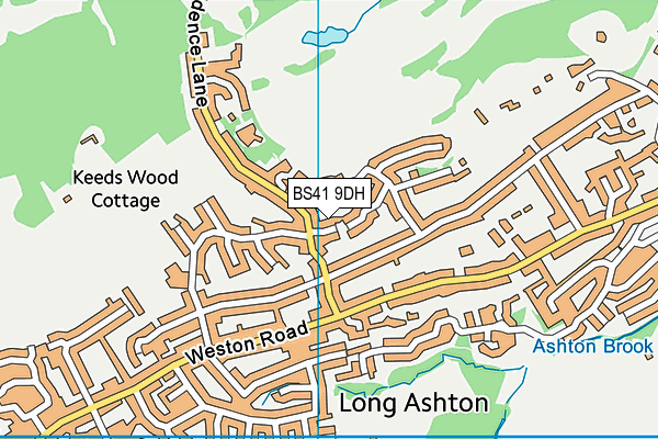 BS41 9DH map - OS VectorMap District (Ordnance Survey)