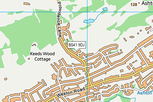 BS41 9DJ map - OS VectorMap District (Ordnance Survey)