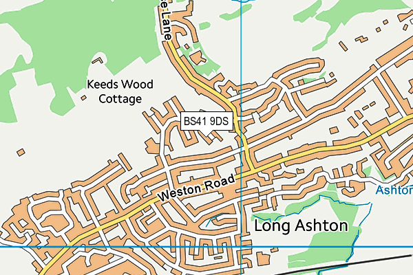 BS41 9DS map - OS VectorMap District (Ordnance Survey)