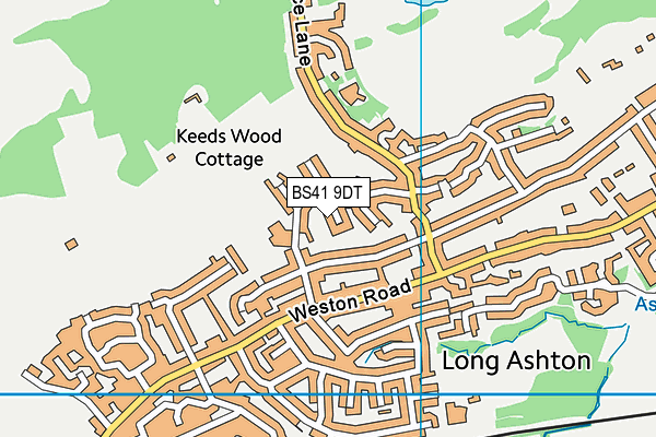 BS41 9DT map - OS VectorMap District (Ordnance Survey)