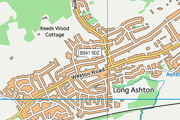 BS41 9DZ map - OS VectorMap District (Ordnance Survey)