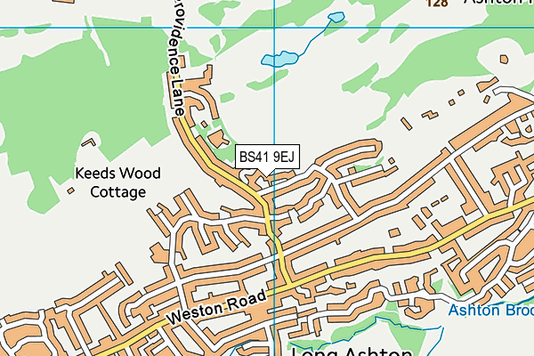 BS41 9EJ map - OS VectorMap District (Ordnance Survey)