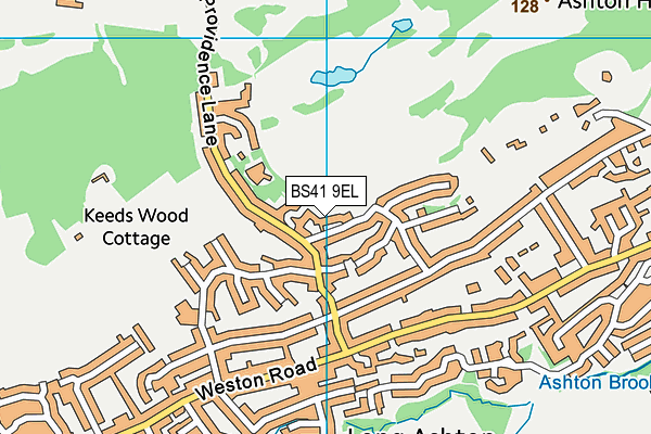 BS41 9EL map - OS VectorMap District (Ordnance Survey)