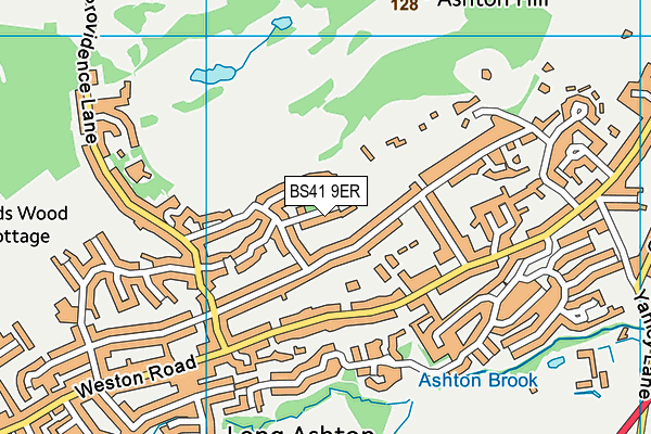 BS41 9ER map - OS VectorMap District (Ordnance Survey)