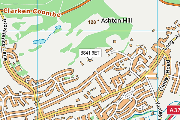 BS41 9ET map - OS VectorMap District (Ordnance Survey)