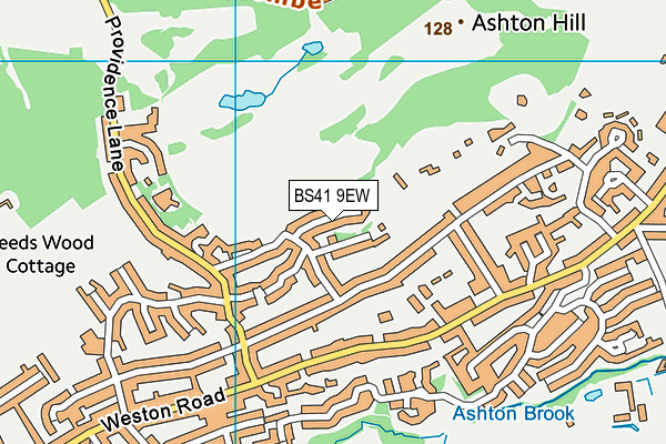 BS41 9EW map - OS VectorMap District (Ordnance Survey)